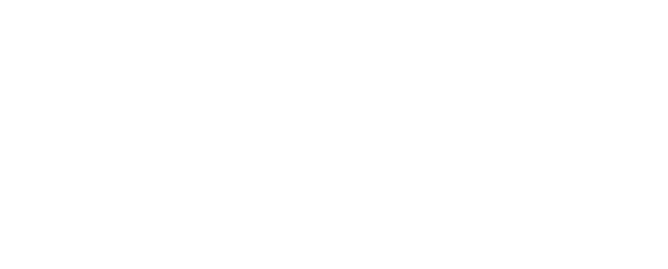 SNT Logo